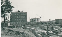 1976, строительство института